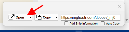 Open snip link in browser